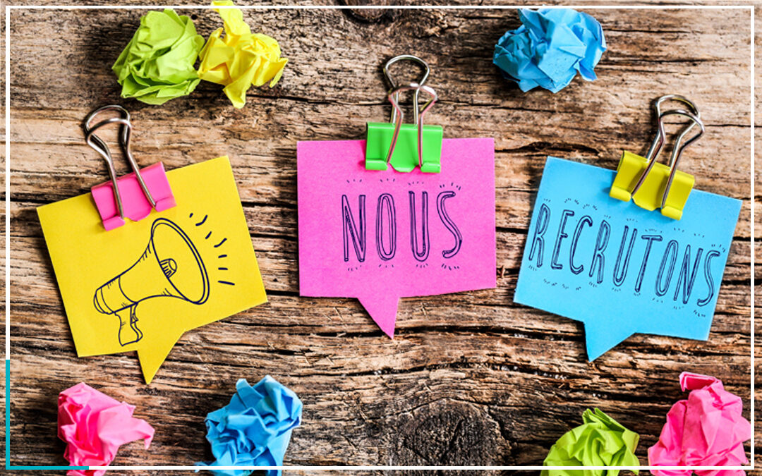 RECRUTEMENT Bouillon Cube