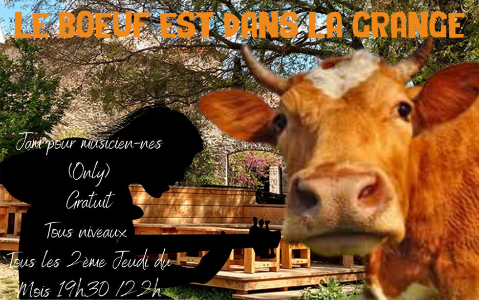 LE LABO DE KATOO > LE BOEUF EST DANS LA GRANGE Bouillon Cube