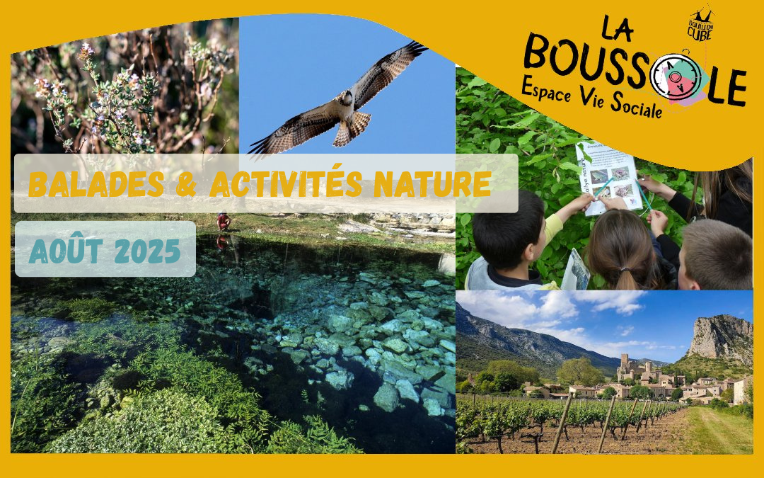 BALADES & ACTIVITES NATURE : AOUT