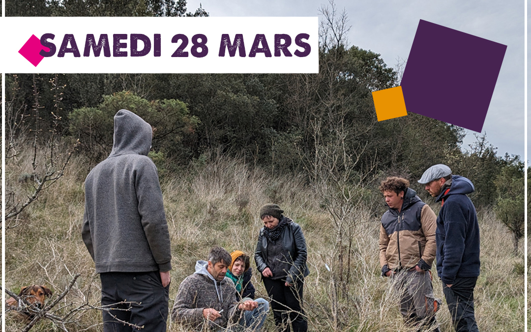 ATELIER GREFFE D&rsquo;ARBRES avec Benoit